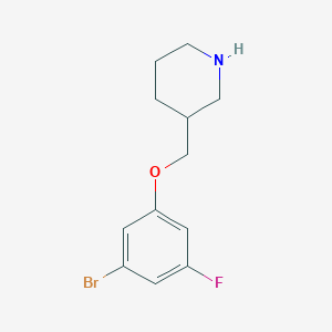 molecular formula C12H15BrFNO B7935922 3-[(3-Bromo-5-fluorophenoxy)methyl]piperidine 