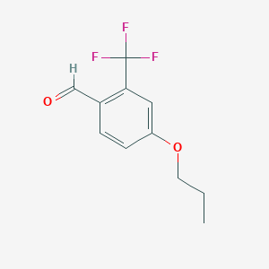 molecular formula C11H11F3O2 B7936495 4-(丙氧基)-2-(三氟甲基)苯甲醛 
