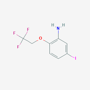 molecular formula C8H7F3INO B7936630 5-Iodo-2-(2,2,2-trifluoroethoxy)aniline 