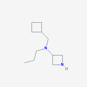 molecular formula C11H22N2 B7936825 N-(cyclobutylmethyl)-N-propylazetidin-3-amine 