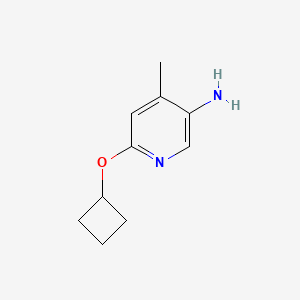 molecular formula C10H14N2O B7937618 6-Cyclobutoxy-4-methylpyridin-3-amine 