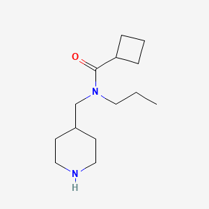 molecular formula C14H26N2O B7938577 N-[(piperidin-4-yl)methyl]-N-propylcyclobutanecarboxamide 