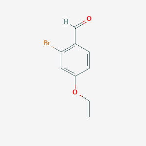 molecular formula C9H9BrO2 B7938787 2-Bromo-4-ethoxybenzaldehyde 