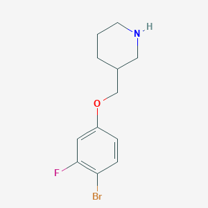 molecular formula C12H15BrFNO B7939918 3-[(4-Bromo-3-fluorophenoxy)methyl]piperidine 