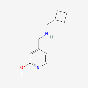 molecular formula C12H18N2O B7940572 (Cyclobutylmethyl)[(2-methoxypyridin-4-yl)methyl]amine 