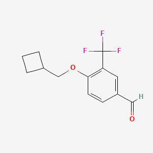 molecular formula C13H13F3O2 B7940595 4-(Cyclobutylmethoxy)-3-(trifluoromethyl)benzaldehyde 