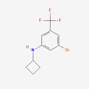 molecular formula C11H11BrF3N B7940718 3-bromo-N-cyclobutyl-5-(trifluoromethyl)aniline 