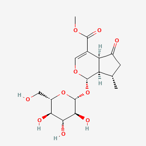 molecular formula C17H24O10 B7942906 methyl (1S,4aS,7S,7aR)-7-methyl-5-oxo-1-[(2R,3S,4R,5R,6S)-3,4,5-trihydroxy-6-(hydroxymethyl)oxan-2-yl]oxy-4a,6,7,7a-tetrahydro-1H-cyclopenta[c]pyran-4-carboxylate 