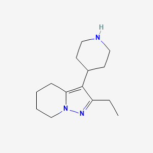 molecular formula C14H23N3 B7943165 2-Ethyl-3-piperidin-4-yl-4,5,6,7-tetrahydropyrazolo[1,5-a]pyridine 