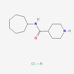 N-cycloheptylpiperidine-4-carboxamide;hydrochloride