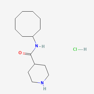 molecular formula C14H27ClN2O B7944151 N-Cyclooctylpiperidine-4-carboxamide (HCl) 