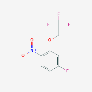 molecular formula C8H5F4NO3 B7944184 4-氟-1-硝基-2-(2,2,2-三氟乙氧基)苯 