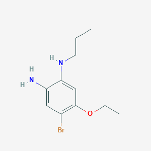 molecular formula C11H17BrN2O B7944706 4-Bromo-5-ethoxy-1-N-propylbenzene-1,2-diamine 