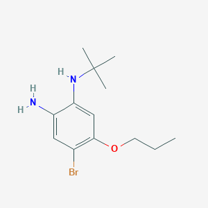 molecular formula C13H21BrN2O B7944712 4-Bromo-1-N-tert-butyl-5-propoxybenzene-1,2-diamine 