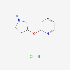 molecular formula C9H13ClN2O B7945322 2-(Pyrrolidin-3-yloxy)pyridine hydrochloride 