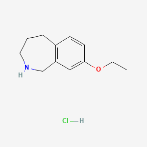 molecular formula C12H18ClNO B7945421 8-ethoxy-2,3,4,5-tetrahydro-1H-2-benzazepine hydrochloride 