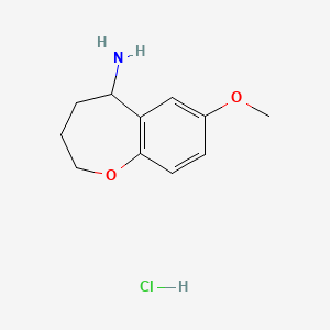 molecular formula C11H16ClNO2 B7946040 7-Methoxy-2,3,4,5-tetrahydro-1-benzoxepin-5-amine hydrochloride 