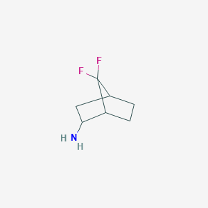 molecular formula C7H11F2N B7946202 7,7-Difluorobicyclo[2.2.1]heptan-2-amine 
