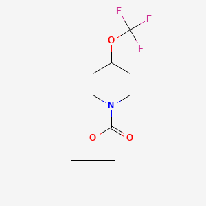 molecular formula C11H18F3NO3 B7946300 4-Trifluoromethoxy-piperidine-1-carboxylic acid tert-butyl ester 