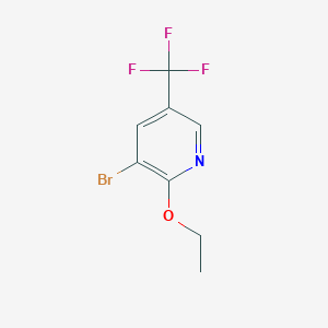 molecular formula C8H7BrF3NO B7946443 3-Bromo-2-ethoxy-5-(trifluoromethyl)pyridine CAS No. 216766-05-1