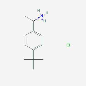 molecular formula C12H20ClN B7947456 (S)-1-(4-(tert-butyl)phenyl)ethanaminium chloride 