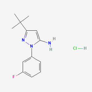 molecular formula C13H17ClFN3 B7947645 3-(tert-Butyl)-1-(3-fluorophenyl)-1H-pyrazol-5-amine hydrochloride 
