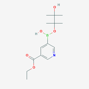 molecular formula C14H22BNO5 B7948034 (5-Ethoxycarbonylpyridin-3-yl)-(3-hydroxy-2,3-dimethylbutan-2-yl)oxyborinic acid 