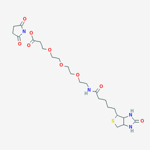 molecular formula C23H36N4O9S B7949560 (+)-Biotin-PEG3-NHS Ester 