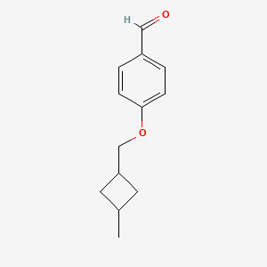 molecular formula C13H16O2 B7951409 4-((3-Methylcyclobutyl)methoxy)benzaldehyde 