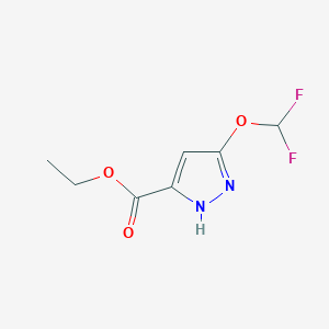 molecular formula C7H8F2N2O3 B7951475 ethyl 3-(difluoromethoxy)-1H-pyrazole-5-carboxylate 