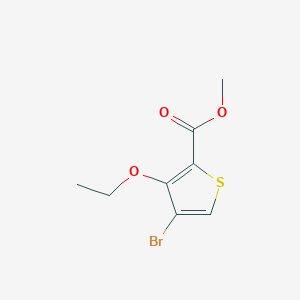 molecular formula C8H9BrO3S B7951977 Methyl 4-bromo-3-ethoxythiophene-2-carboxylate 