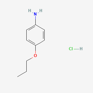 molecular formula C9H14ClNO B7952311 (4-Propoxyphenyl)amine hydrochloride 