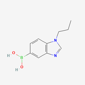 molecular formula C10H13BN2O2 B7952370 (1-Propyl-1,3-benzodiazol-5-yl)boronic acid 
