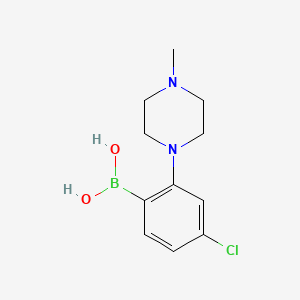 molecular formula C11H16BClN2O2 B7952421 [4-Chloro-2-(4-methylpiperazin-1-yl)phenyl]boronic acid 