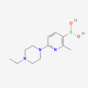 molecular formula C12H20BN3O2 B7952427 [6-(4-Ethylpiperazin-1-yl)-2-methylpyridin-3-yl]boronic acid 