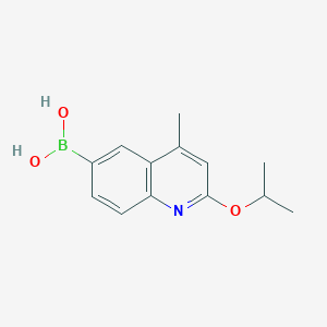 molecular formula C13H16BNO3 B7952432 (2-Isopropoxy-4-methylquinolin-6-yl)boronic acid 