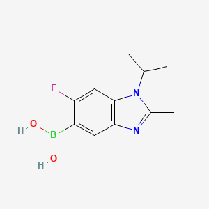 molecular formula C11H14BFN2O2 B7952465 (6-Fluoro-1-isopropyl-2-methyl-1,3-benzodiazol-5-yl)boronic acid 