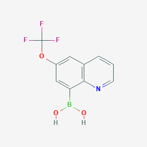 molecular formula C10H7BF3NO3 B7952499 (6-(Trifluoromethoxy)quinolin-8-yl)boronic acid 