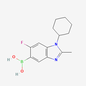 molecular formula C14H18BFN2O2 B7952506 (1-Cyclohexyl-6-fluoro-2-methyl-1,3-benzodiazol-5-yl)boronic acid 