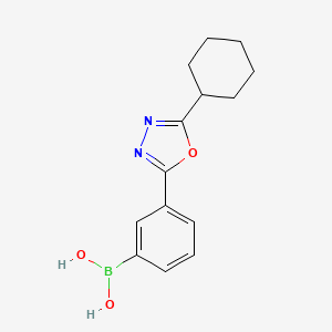 molecular formula C14H17BN2O3 B7952531 [3-(5-Cyclohexyl-1,3,4-oxadiazol-2-yl)phenyl]boronic acid 