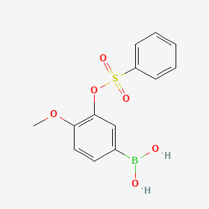molecular formula C13H13BO6S B7952563 {3-[(Benzenesulfonyl)oxy]-4-methoxyphenyl}boronic acid 