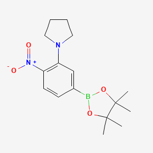 molecular formula C16H23BN2O4 B7952644 1-[2-Nitro-5-(tetramethyl-1,3,2-dioxaborolan-2-yl)phenyl]pyrrolidine 
