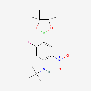 molecular formula C16H24BFN2O4 B7952653 N-tert-Butyl-5-fluoro-2-nitro-4-(tetramethyl-1,3,2-dioxaborolan-2-yl)aniline 