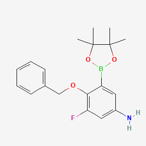 molecular formula C19H23BFNO3 B7952671 4-(Benzyloxy)-3-fluoro-5-(tetramethyl-1,3,2-dioxaborolan-2-yl)aniline 