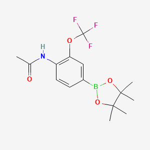 molecular formula C15H19BF3NO4 B7952683 N-[4-(Tetramethyl-1,3,2-dioxaborolan-2-yl)-2-(trifluoromethoxy)phenyl]acetamide 