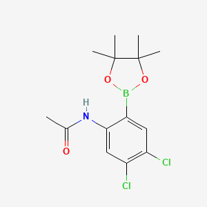 molecular formula C14H18BCl2NO3 B7952703 N-[4,5-Dichloro-2-(tetramethyl-1,3,2-dioxaborolan-2-yl)phenyl]acetamide 