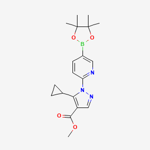 molecular formula C19H24BN3O4 B7952768 Methyl 5-cyclopropyl-1-[5-(tetramethyl-1,3,2-dioxaborolan-2-yl)pyridin-2-yl]pyrazole-4-carboxylate 
