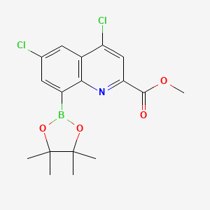 molecular formula C17H18BCl2NO4 B7952793 Methyl 4,6-dichloro-8-(tetramethyl-1,3,2-dioxaborolan-2-yl)quinoline-2-carboxylate 