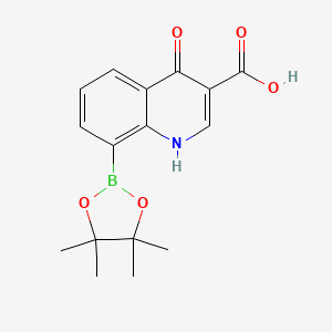 molecular formula C16H18BNO5 B7952892 4-Hydroxy-8-(tetramethyl-1,3,2-dioxaborolan-2-yl)quinoline-3-carboxylic acid 