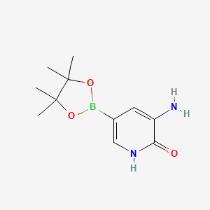 molecular formula C11H17BN2O3 B7952940 3-Amino-5-(tetramethyl-1,3,2-dioxaborolan-2-yl)pyridin-2-ol 